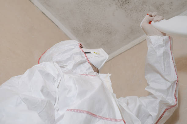 Best Toxic Mold Removal  in Paramount Long Meadow, MD