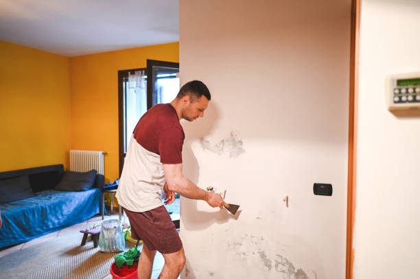 Best Same-Day Mold Removal  in Paramount Long Meadow, MD