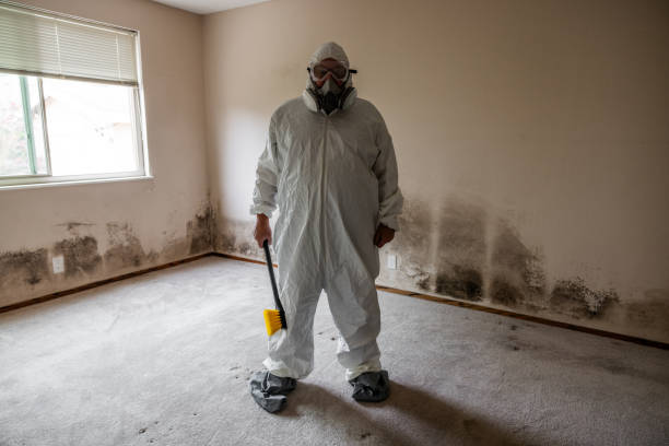 Best Mold Damage Repair  in Paramount Long Meadow, MD